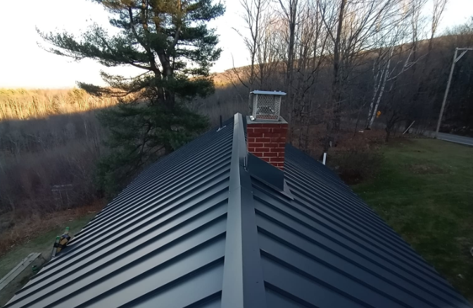 Metal Roofing